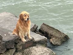 -太湖面馆十八浇(渔港路店)