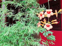 -耿福兴(步行街店)