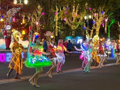 -苏州乐园森林水世界