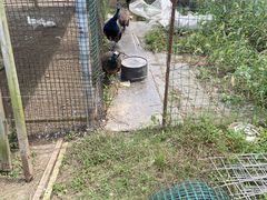 -前小桔亲子创意农场·草莓采摘·露营烧烤