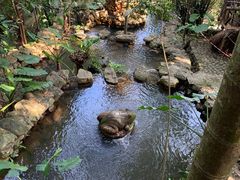 -海南槟榔谷黎苗文化旅游区