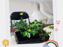 -荷兰布尔玛国际花艺学院