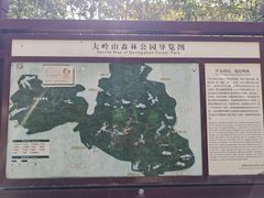 -东莞市大岭山森林公园