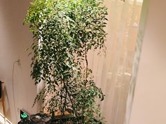 -客汀家宴·客家烟火 四季食材(集美店)