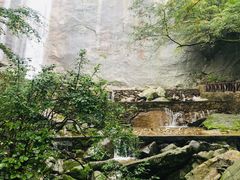 -陕西省红河谷森林公园