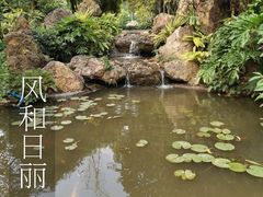 -晓港公园