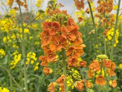 -中国天府农业博览园