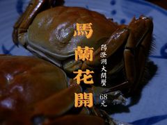-馬蘭花開(车站大道店)