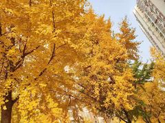 -四川大学(华西校区)