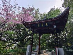 -乌山风景区