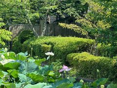 -鹤冈八幡宫