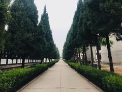 -西安青龙寺遗址景区