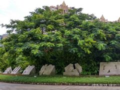 -金山植物公园