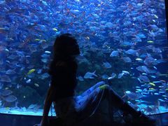 -成都浩海立方海洋公园