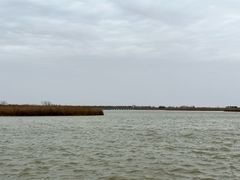 -盐城丹顶鹤湿地生态旅游区