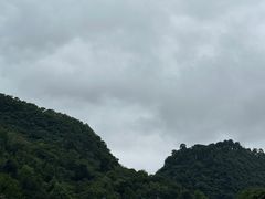 -黔灵山公园