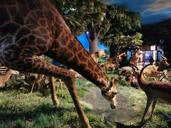 -国家自然博物馆