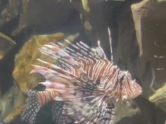 -锦艺城海洋馆