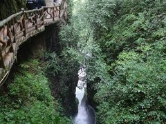 -鹿院坪生态旅游景区