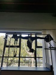 -FineYoga梵音瑜伽·普拉提
