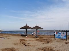 -碧海金沙
