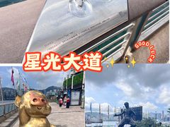 -星光大道