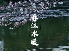 -杭州植物园