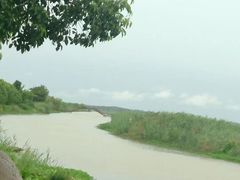 -泗洪洪泽湖湿地景区