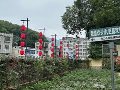 -湘力力小院·鱼汤泡饭(枫林路店)