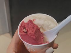 -DIP in GELATO(富民路店)