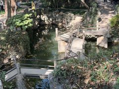 -绮园景区