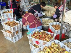 -双喜农庄·菌香园(安居家园店)