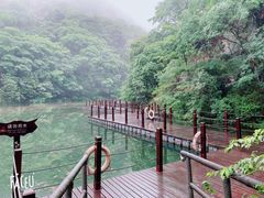 -祁门牯牛降观音堂风景区