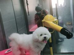 -宠福鑫康馨动物医院·骨科·眼科