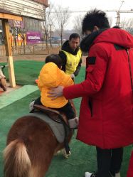 -萌宠亲子动物乐园(槐房万达店)