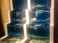 水产区-大吉鲜鱼料理自慢(维也纳大厦店)