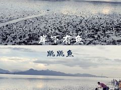 -深圳湾公园(南山区)