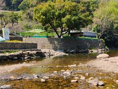 -北仑森林植物园