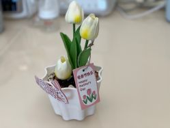 -月来悦好国际月子会所