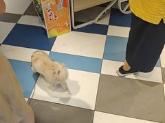 -85度C(上海仓汇路店)