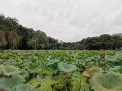 -地心探险极地