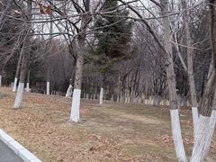 -长春世界雕塑园冰雪艺术天地