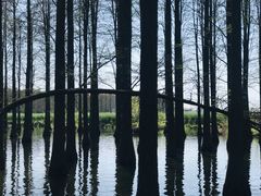 -渌洋湖湿地公园