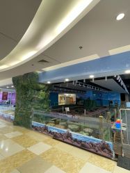 -钓虾工场·钓虾·赶海(回龙观店)