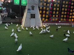 -大小河街