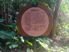 -海南铜鼓岭景区