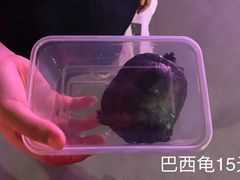 -华声天桥民俗文化园