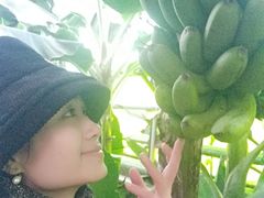 -呀路古热带植物园