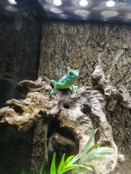 -酷嗒动物文化乐园(cutezoo西溪乐天城店)