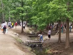 -白水寺森林公园